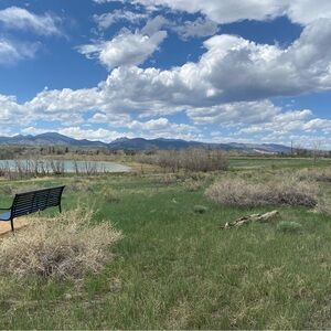 Meet your Posher, Diodati1816